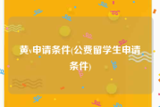 黄v申请条件(公费留学生申请条件)