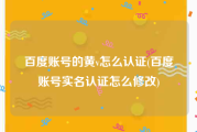 百度账号的黄v怎么认证(百度账号实名认证怎么修改)
