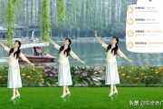 话题主持人有黄v吗
，为什么有的人十几个粉丝，十几个问答就加了黄v了？
