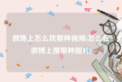 微博上怎么找那种视频(怎么在微博上搜那种图片)