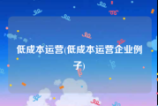 低成本运营(低成本运营企业例子)