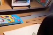 透视宝
，画啦啦跟美术宝，哪个比较好呀，为什么？