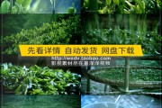 茶叶宣传视频(茶叶宣传视频脚本制作)