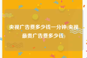 央视广告费多少钱一分钟(央视最贵广告费多少钱)