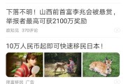 刷百度(百度怎么有声音)