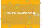小说配音(小说配音怎么做)