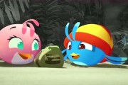 愤怒的小鸟短视频(愤怒的小鸟短视频 1080P)