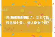 黄v在哪里申请
，现在开通原创了，怎么才能获得那个黄V，请大佬支个招？