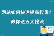 刷粉网站是什么(刷粉网站推广免费)