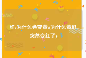 红v为什么会变黄v(为什么黄码突然变红了)