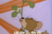微博lsp集中地
，你像我一样，因为使用了今日头条好久都不刷微博了吗？你上头条是因为什么？