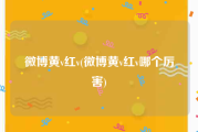 微博黄v红v(微博黄v红v哪个厉害)