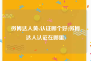 微博达人黄v认证哪个好(微博达人认证在哪里)