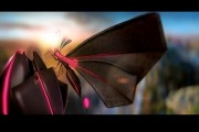 3d视频动画制作蝴蝶(3dmax蝴蝶飞舞动画制作)