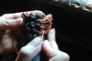 根雕制作技法视频(根雕制作技法视频教程)