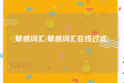 敏感词汇(敏感词汇在线过滤)