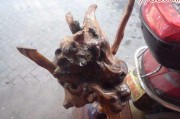 根雕制作方法视频(根雕制作过程的步骤视频)
