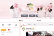 微博红v怎么认证
，深扒微博上三大网红背后的故事