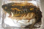 锡纸盒烤鱼的做法视频(锡纸盒烤鱼的做法视频大全)