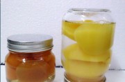 苹果酱的家庭制作方法视频(苹果酱的家庭制作方法视频气象预报)
