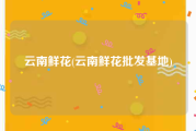 云南鲜花(云南鲜花批发基地)