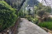 路上风景短视频(开车路上风景视频短片)