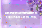 微博的红v和黄v是什么意思
，薛之谦为什么成为网红？薛之谦段子手什么意思？(转载)