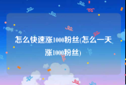 怎么快速涨1000粉丝(怎么一天涨1000粉丝)