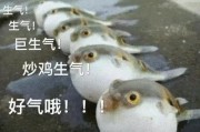 微博开车博主怎么找(微博上一个经常开车的博主)