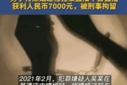 关于售卖传播淫秽视频罪怎么判的信息