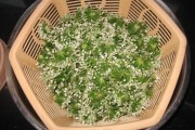 韭菜花做法视频(韭菜花做法视频大全)