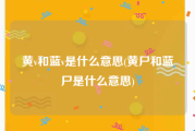 黄v和蓝v是什么意思(黄尸和蓝尸是什么意思)