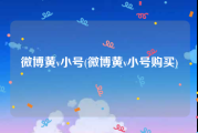 微博黄v小号(微博黄v小号购买)
