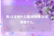 黄v认证有什么用(微博黄v认证需要什么)