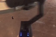 手机如何将视频做成gif(手机如何将视频做成动态壁纸)