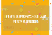 抖音粉丝哪里有卖2021(什么是抖音粉丝哪里来的)