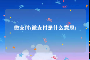 微支付(微支付是什么意思)