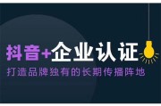 好看视频蓝v与黄v有区别吗(好看视频黄v蓝v红v是什么意思)