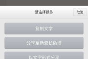 新浪微博v认证秒过(新浪微博v认证怎么弄)