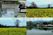 15秒唯美风景短视频(15秒唯美风景短视频花)