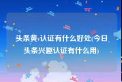 头条黄v认证有什么好处(今日头条兴趣认证有什么用)