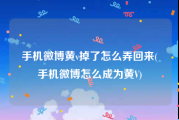 手机微博黄v掉了怎么弄回来(手机微博怎么成为黄V)