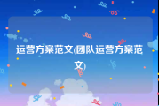 运营方案范文(团队运营方案范文)