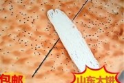 炕饼子的做法视频教程(炕饼的做法怎么和面视频)