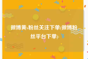 微博黄v粉丝关注下单(微博粉丝平台下单)