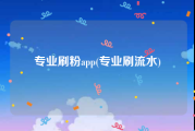 专业刷粉app(专业刷流水)