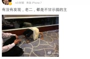 污话姐微博(小污妹呀微博改名)