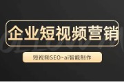 高清精品seo1短视频的简单介绍