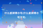 什么是微博小号(什么是微博小号大号)