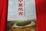 宁夏旅游宣传视频(宁夏旅游宣传片视频)